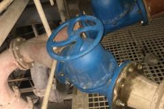 IMG-20251209-WA0037